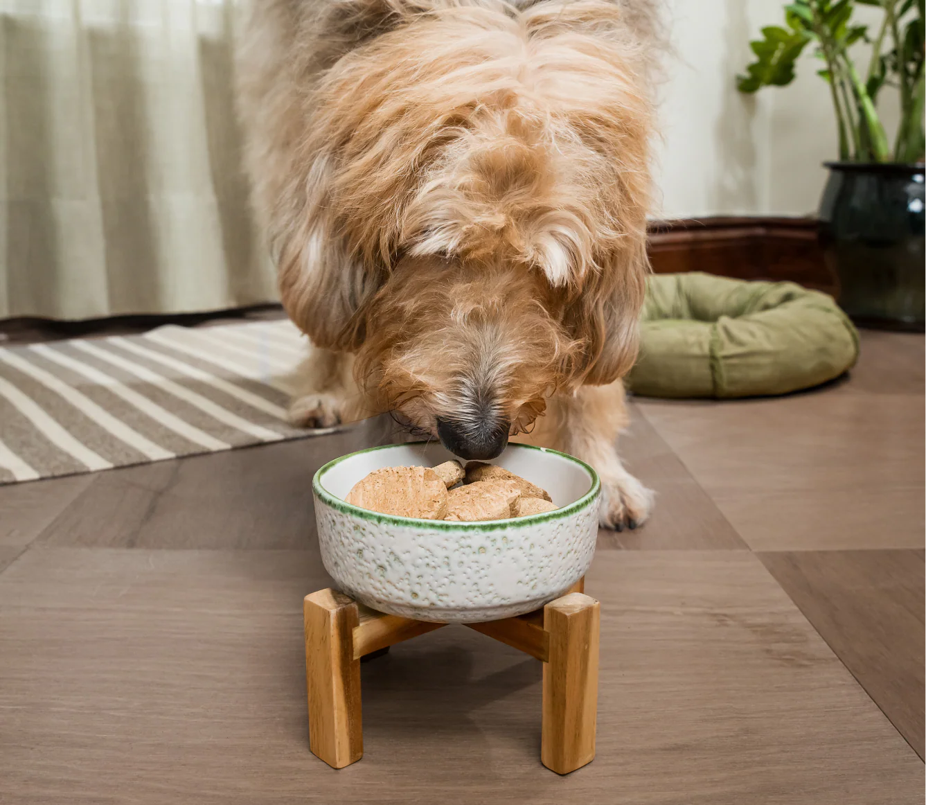 Open Farm Freeze Dried Raw - Harvest Chicken Patties for Dogs