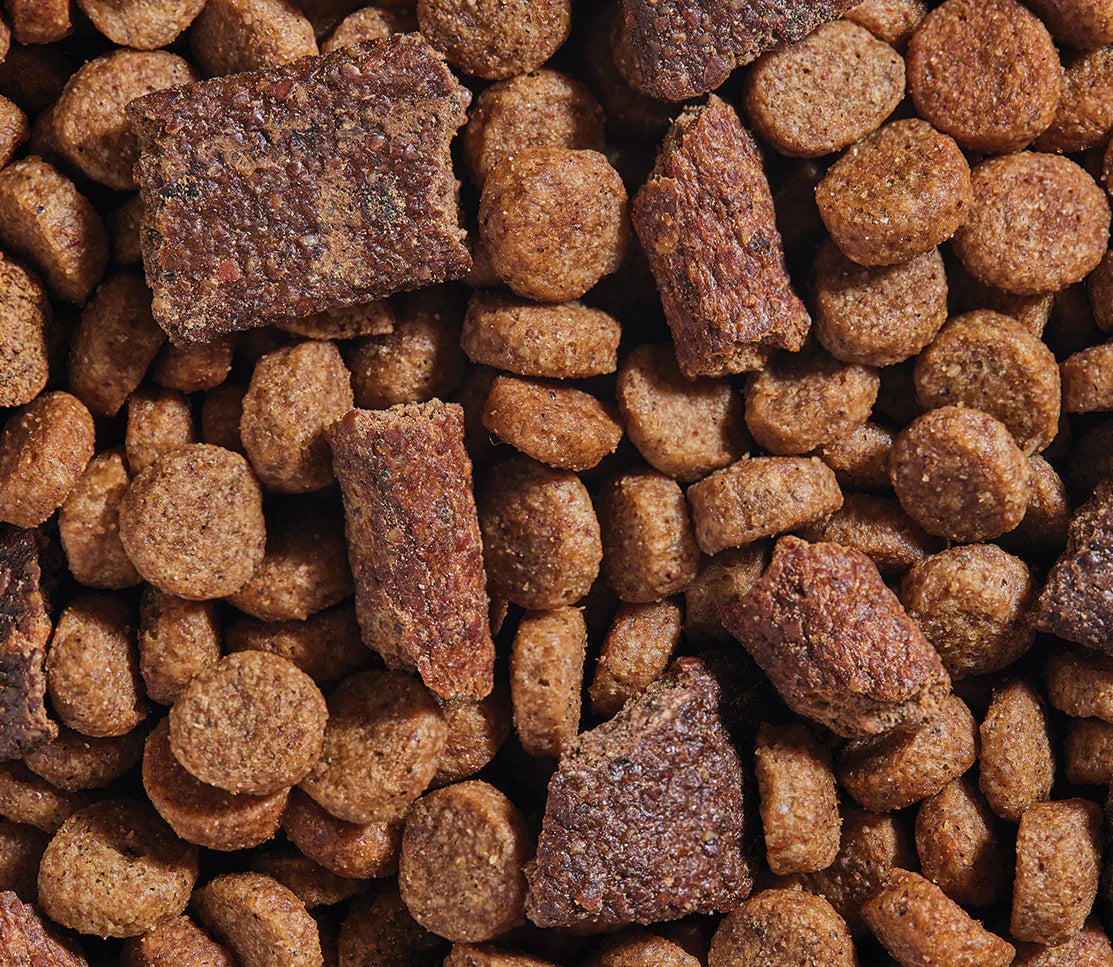 Open Farm Epic Blend Beef Dog Food