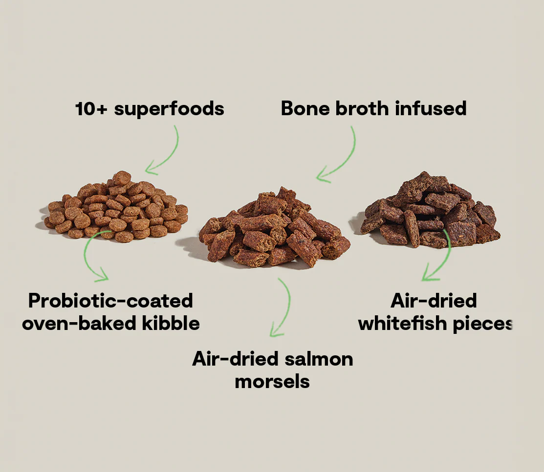 Open Farm Epic Blend Salmon Dog Food