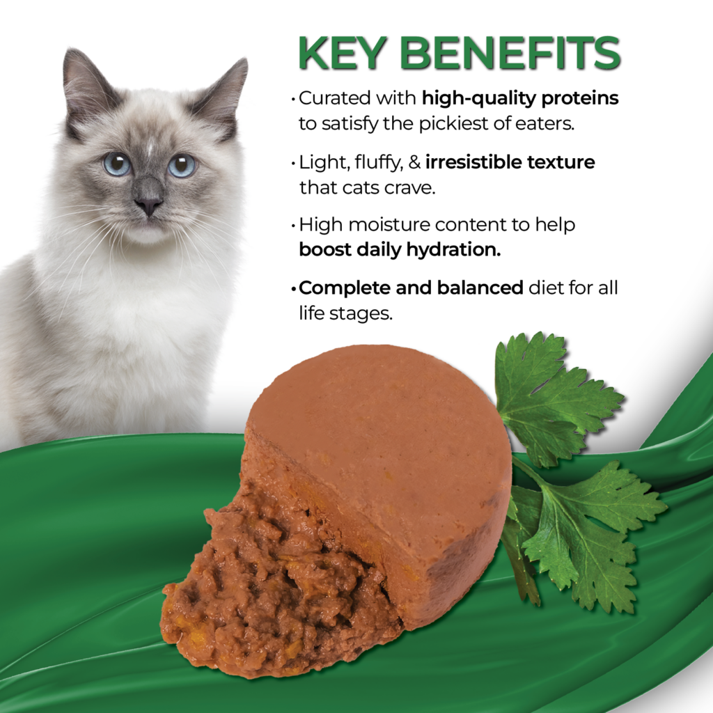 Fussie Cat Ocean Fish With Pumpkin Entree Wet Cat Food