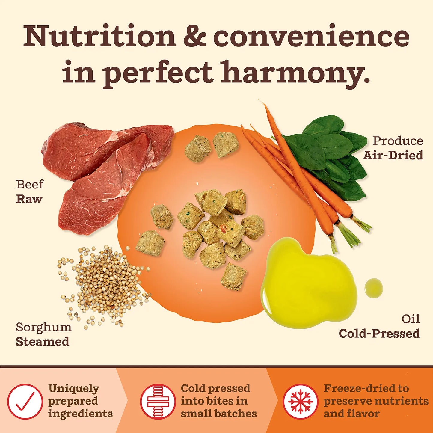 Primal Kibble In The Raw Freeze-Dried Beef Recipe Dry Dog Food