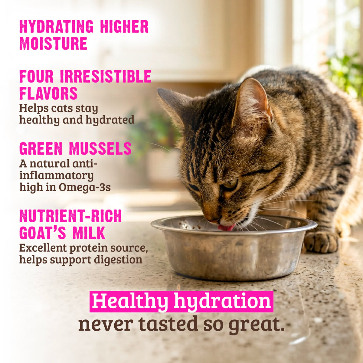 RAWZ Hydrating Puree Chicken & Chicken Liver Recipe Canned Cat Food