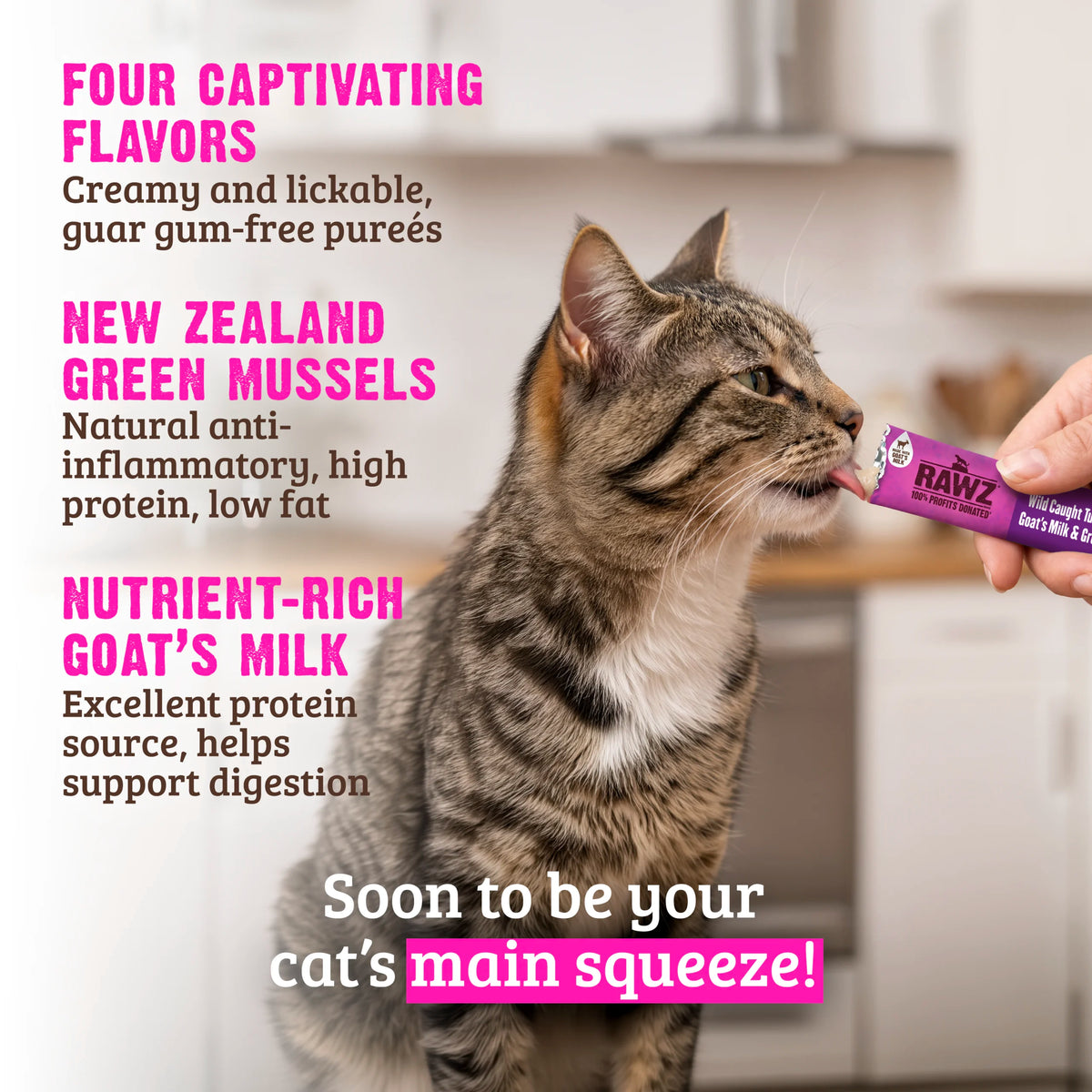 RAWZ Wild Caught Tuna & Salmon with Goat's Milk and Green Mussels Lickable Topper or Treat for Cats