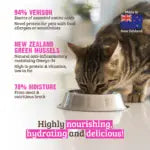 RAWZ 94% Venison with Green Mussels Pâté for Cats