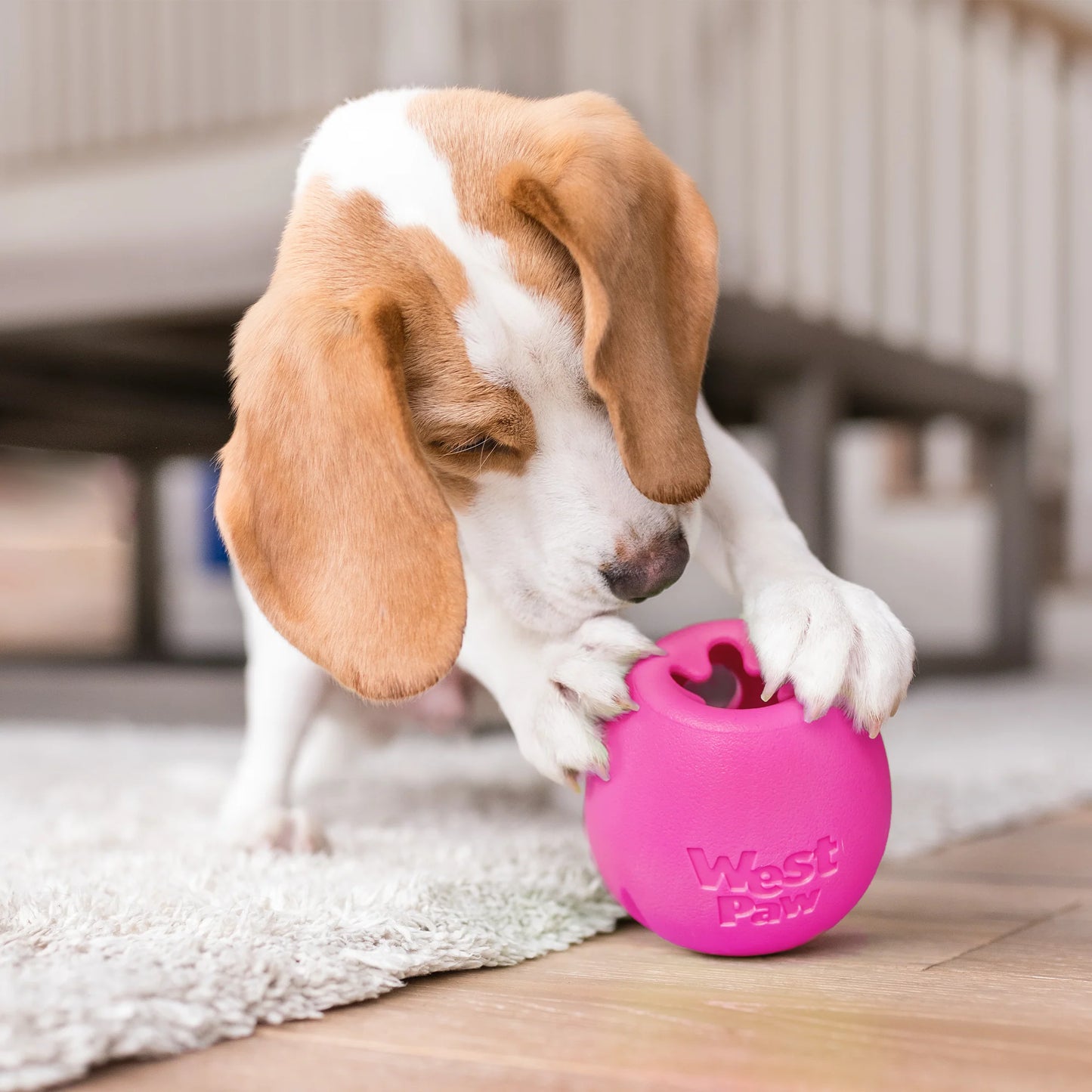 West Paw Rumbl Small for Dogs