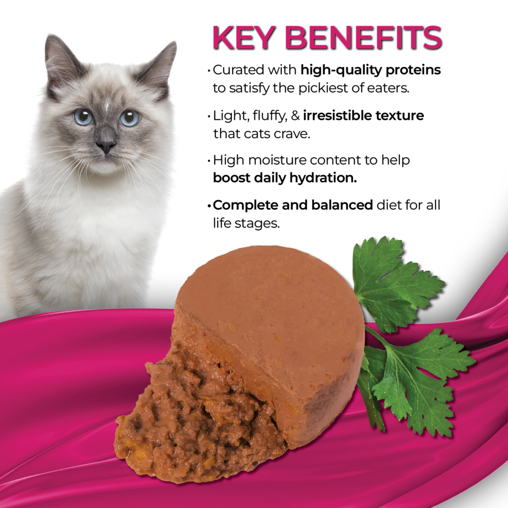 Fussie Cat Sardine With Pumpkin Entree Wet Cat Food