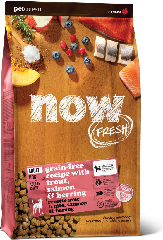 Now Fresh Grain Free Fish Adult Recipe for Dogs