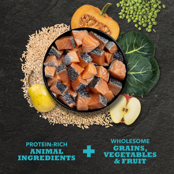 Acana Classics Salmon & Barley Recipe Dry Dog Food