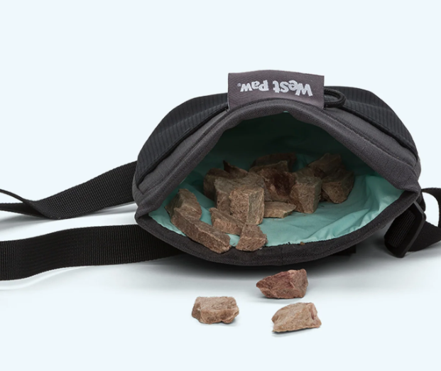 West Paw Outings™ Dog Treat Pouch Large