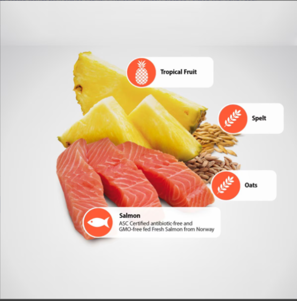 Farmina Natural & Delicious Tropical Selection Salmon Mini Adult Dry Dog Food