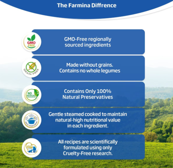 Farmina Prime Natural & Delicious Lamb and Blueberry Adult Canned Dog Food