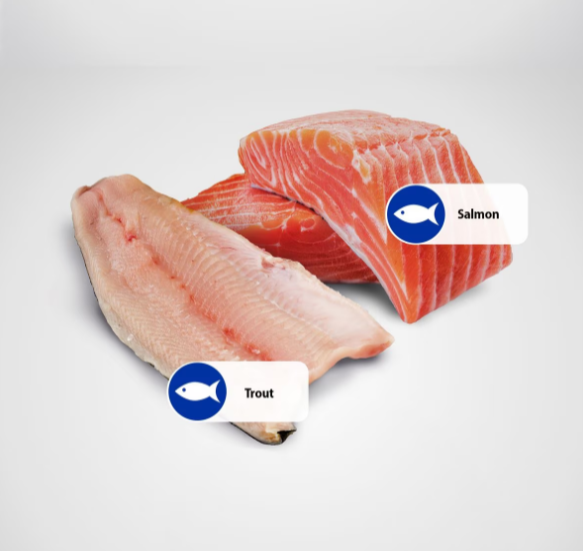 Farmina Natural & Delicious Ocean Trout and Salmon Mini Adult Canned Dog Food