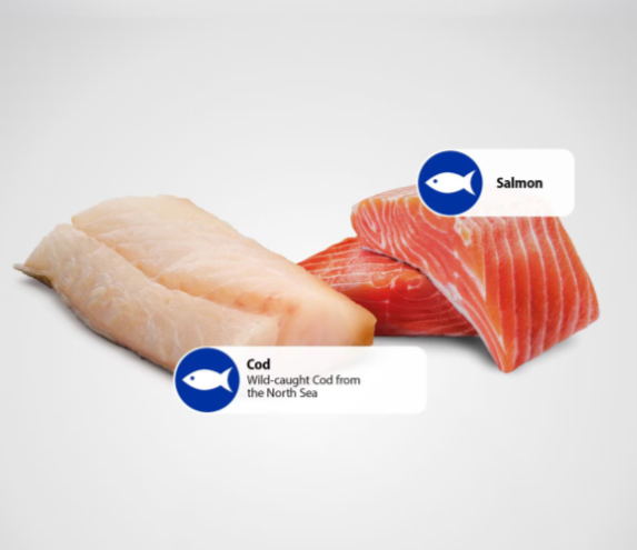 Farmina Natural & Delicious Ocean Salmon and Cod Adult Canned Dog Food