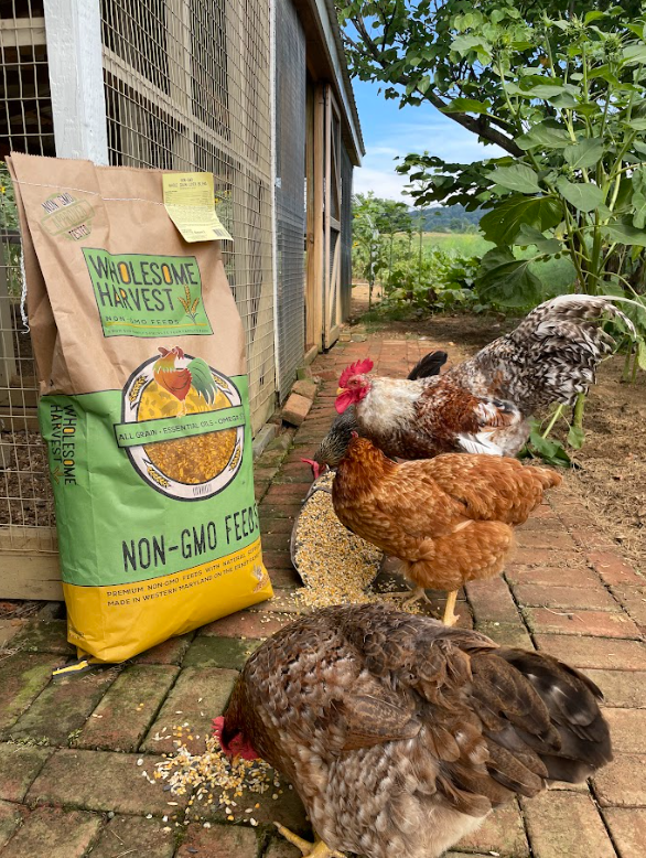 Wholesome Harvest Non-GMO Plain Ol' Scratch Grain For all classes of livestock
