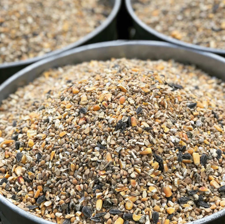 Wholesome Harvest Non-GMO Turkey & Game Bird Grower 24% For growing turkeys, peacocks, guineas, and pheasants