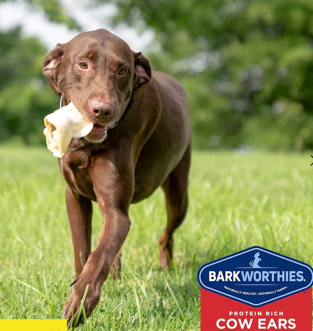 Barkworthies Pig Ears For Dogs