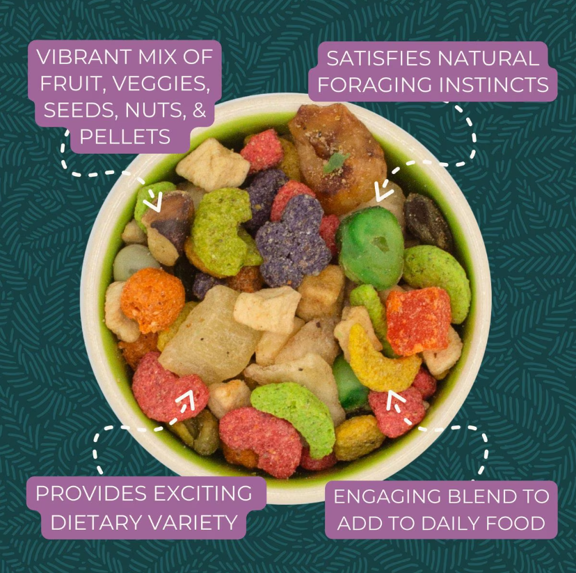 ZuPreem Pure Fun for Parrots & Conures (Medium to Large Birds)