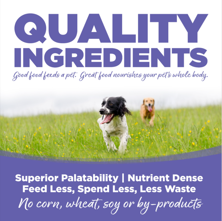 Nutrisource Small and Medium Breed Puppy Chicken and Rice Formula Dry Dog Food