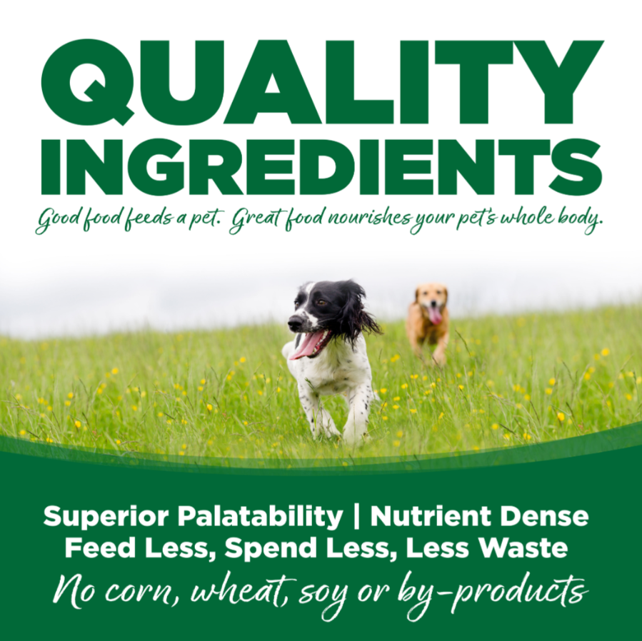 Nutrisource Adult Turkey and Rice Formula Dry Dog Food