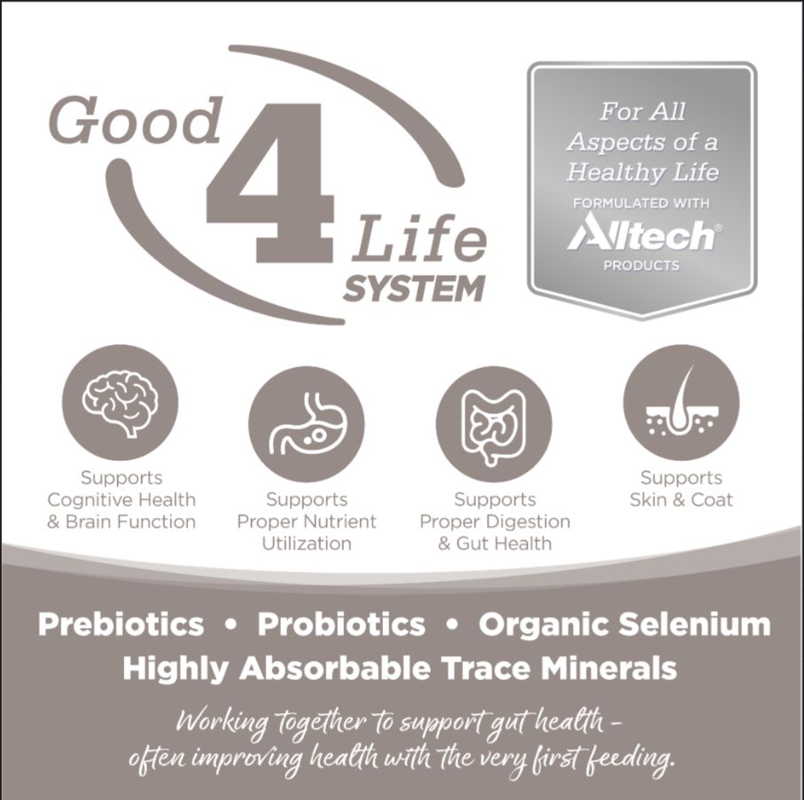 Nutrisource Grain Free Senior Formula Dry Dog Food