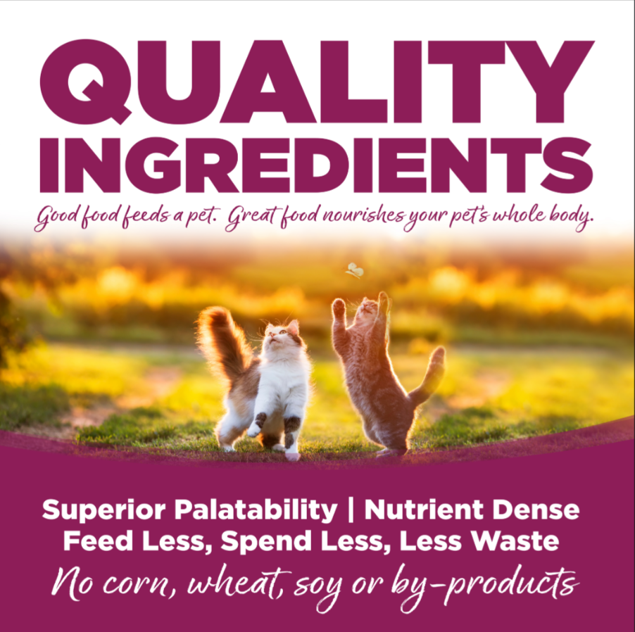 Nutrisource Cat and Kitten Chicken and Rice Formula