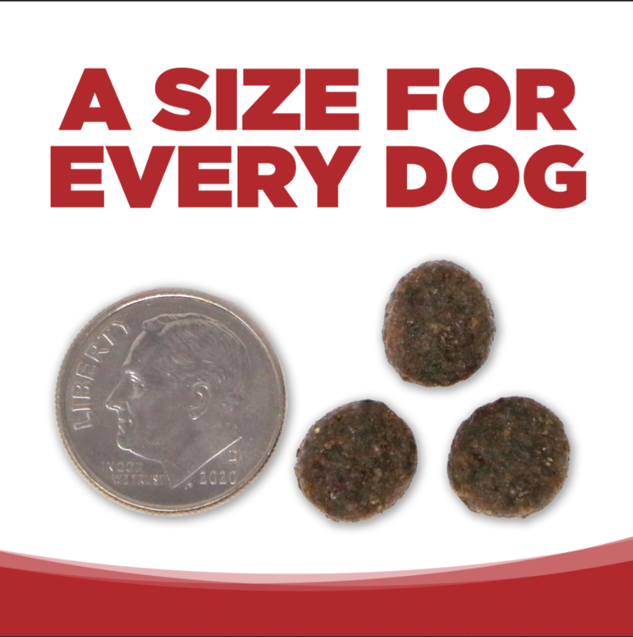 PureVita Grain Free Beef and Red Lentils Dry Dog Food