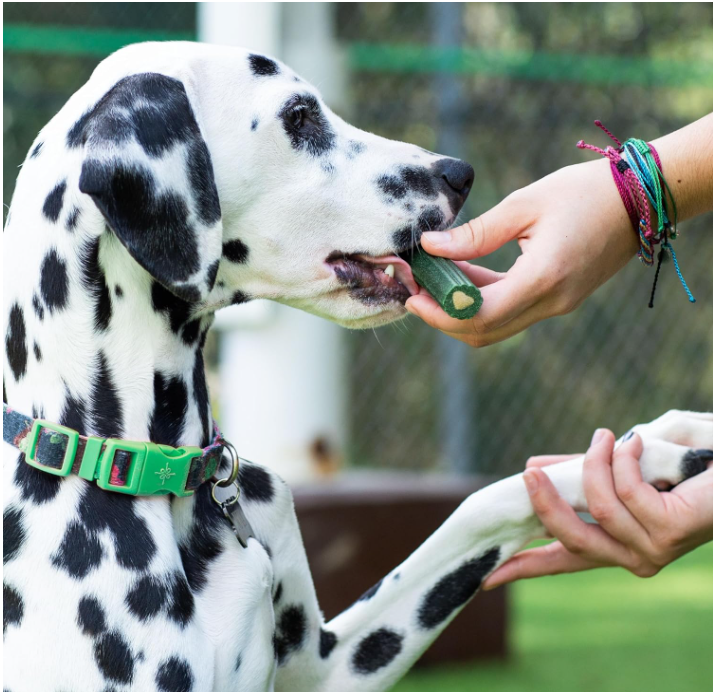 Ark Naturals Breathless Brushless Toothpaste for Dogs