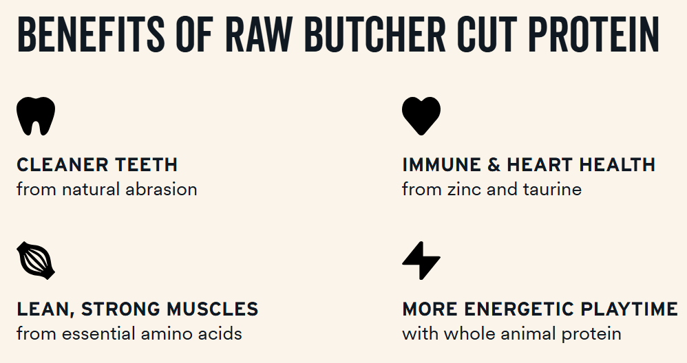 Vital Essentials Freeze-Dried Beef Bite Dog Treats