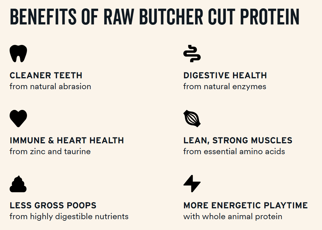 Vital Essentials Freeze-Dried Beef Tripe Nibs Treats for Dogs