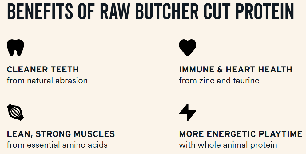 Vital Essentials Freeze-Dried Salmon Bite Cat Treats