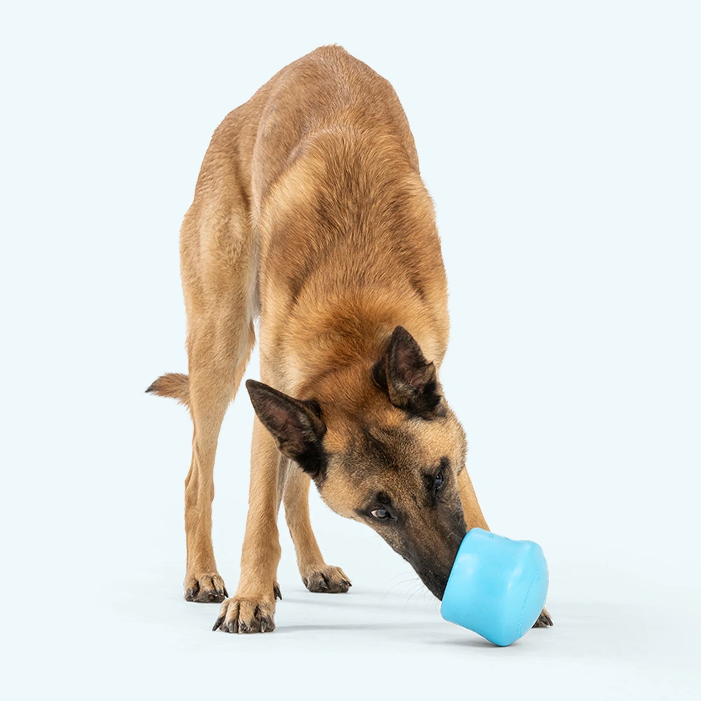 West Paw Small Toppl Toy For Dogs