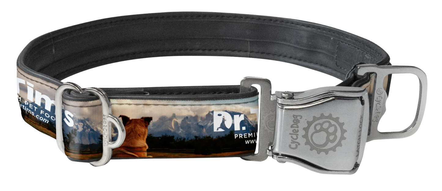 Dr. Tim's Dog Collar
