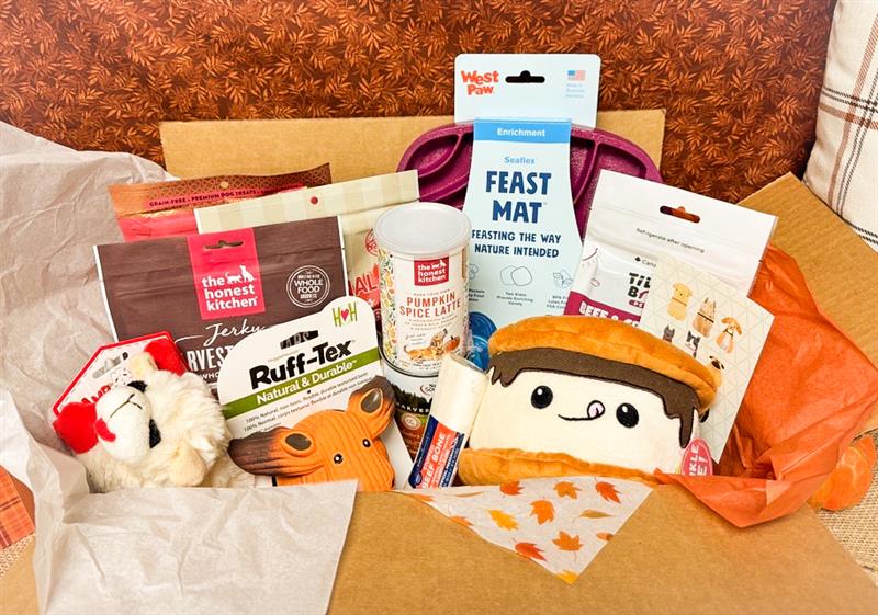 Fall Themed Holiday Goodie Box For Dogs