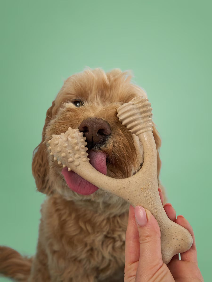 Betterbone Medium Dog Chew