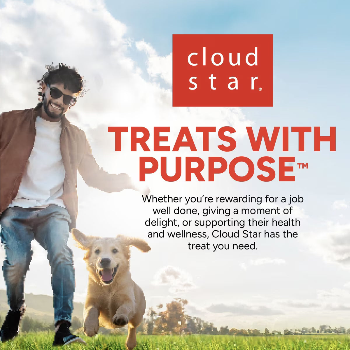 Buddy Biscuits Grain Free Chewy Treats with Peanut Butter