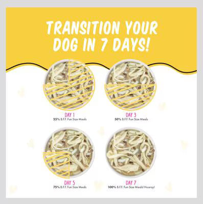 Weruva BFF Roll The Dice