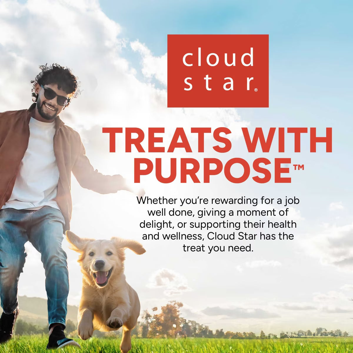 Buddy Biscuits Grain Free Crunchy Treats with Roasted Chicken