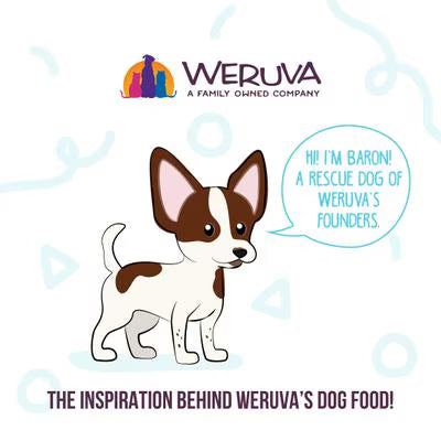 Weruva Meals 'n More Funky Chunky Recipe Plus For Dogs