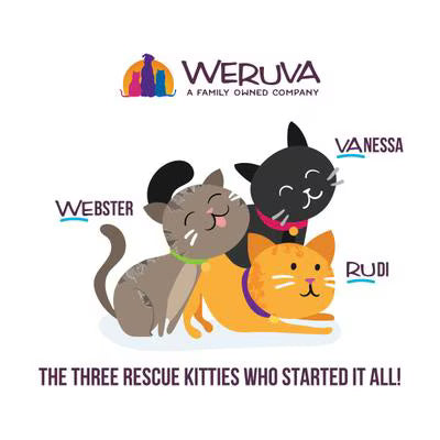 Weruva BFF Chicken & Salmon Cuddle Buds