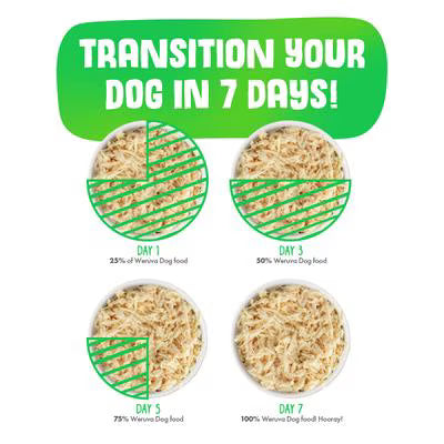 Weruva Grandma's Chicken Soup Dog Cans