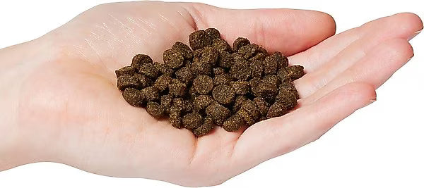 FirstMate Limited Ingredient Australian Lamb Small Bites for Dogs