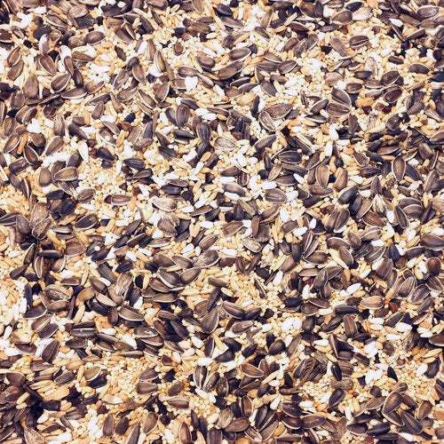 Higgins Supreme Cockatiel Food