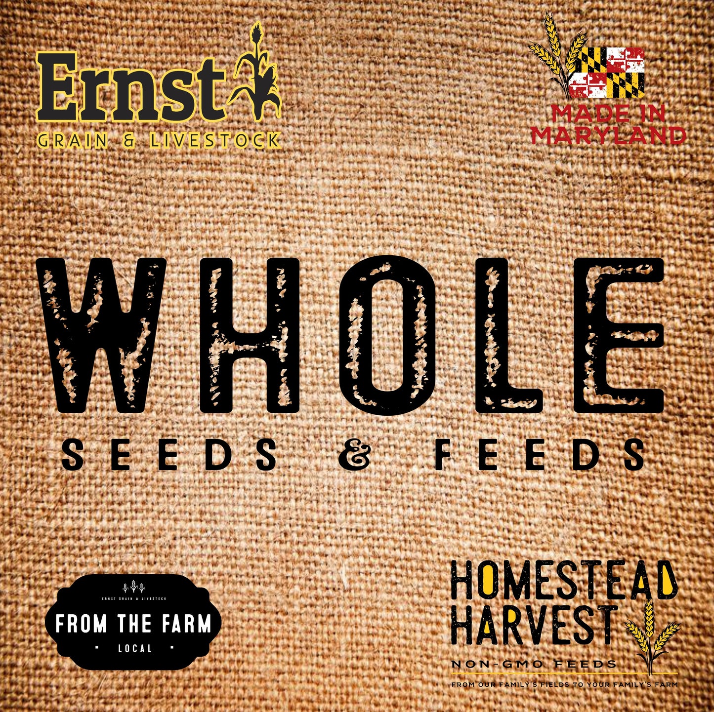 Ernst Grain Barley, Non-GMO