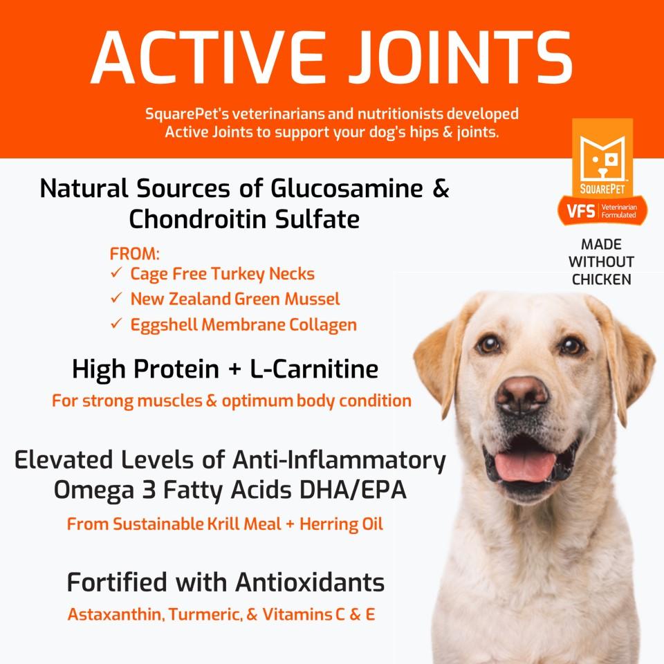 SquarePet VFS Canine Active Joints Formula Dry Dog Food