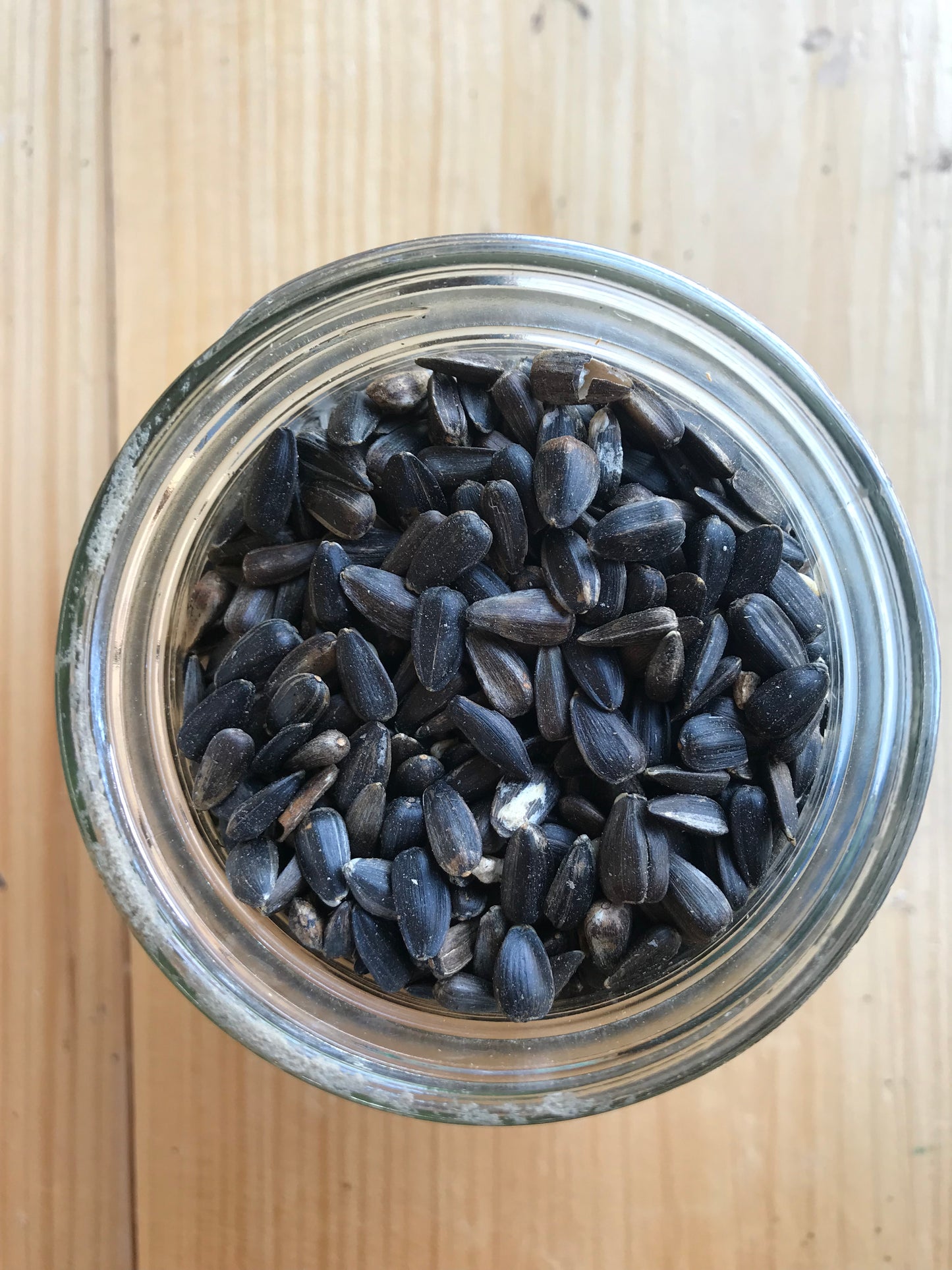 Ernst Grain Black Oil Sunflower Seeds, Non-GMO