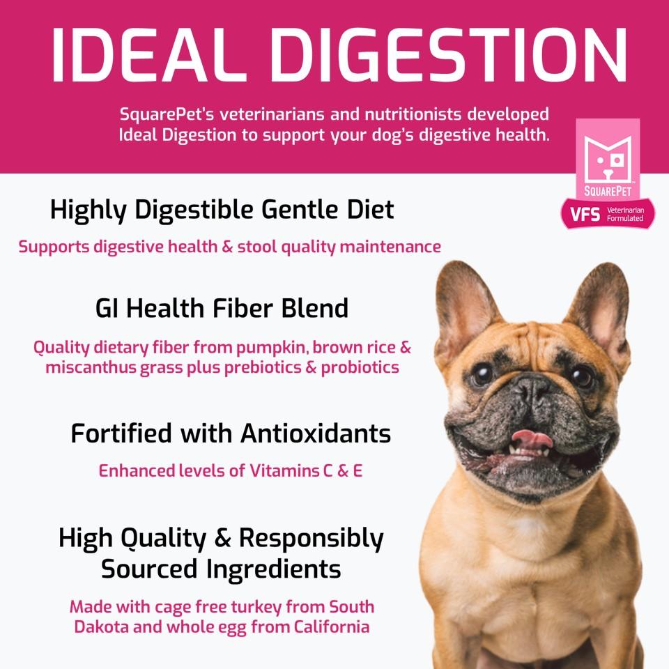 SquarePet VFS Canine Ideal Digestion Formula Dry Dog Food