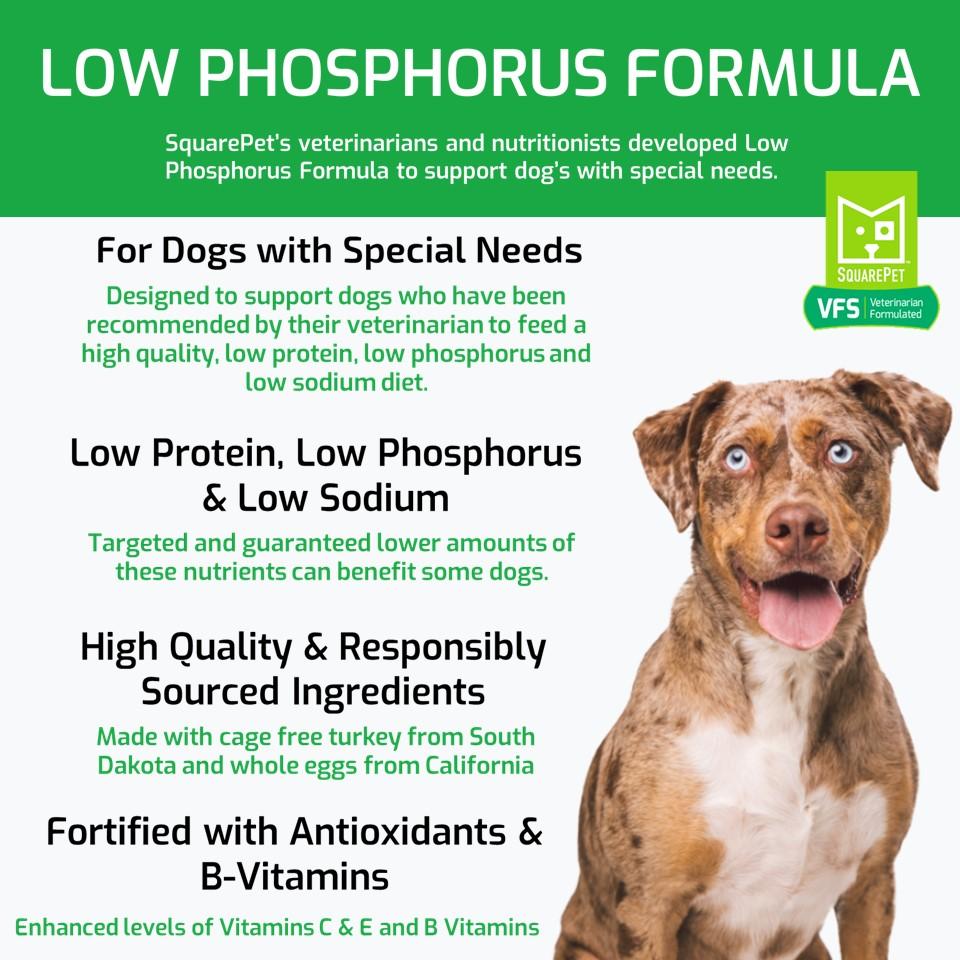 SquarePet VFS Canine Low Phosphorus Formula Dry Dog Food