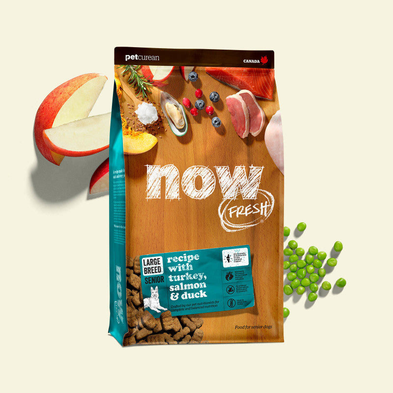 Now Fresh Grain Free Large Breed Senior Recipe for Dogs