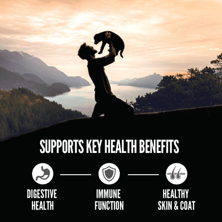 Orijen Amazing Grains Dry Puppy Food