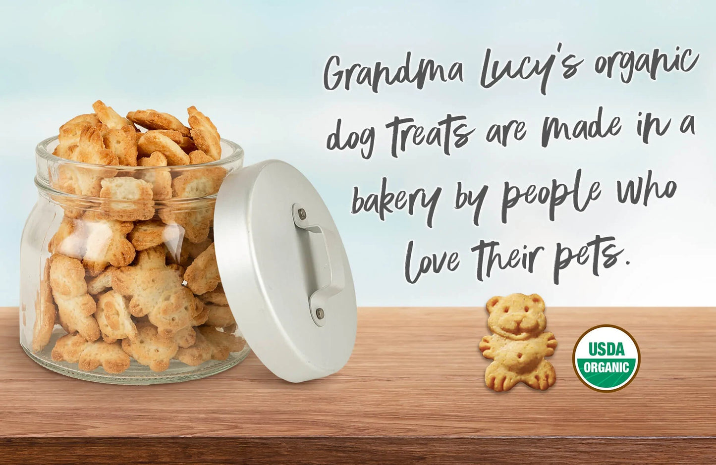 Grandma Lucy's Organic Blueberry Dog Treats